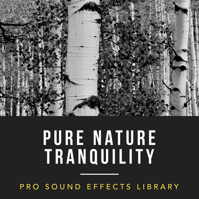 Transported to Nature - song and lyrics by Pro Sound Effects Library ...