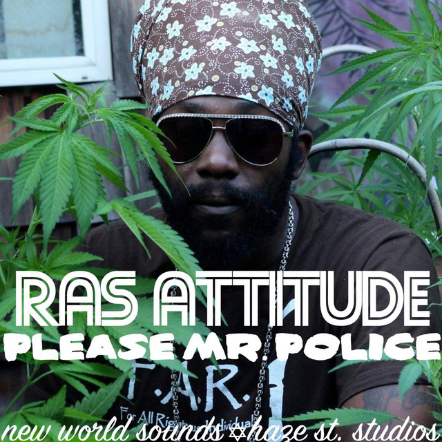 Please Mr. Police