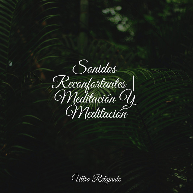 Sonidos Reconfortantes | Meditación Y Meditación cover art