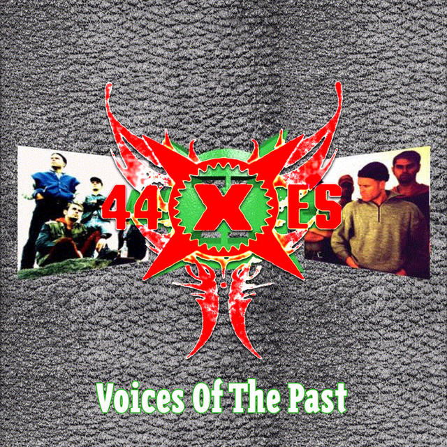 Voices Of The Past cover
