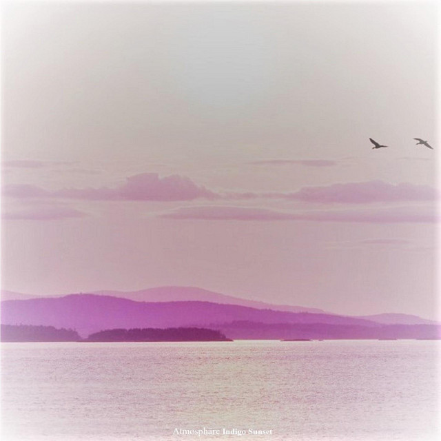 Indigo Sunset cover art