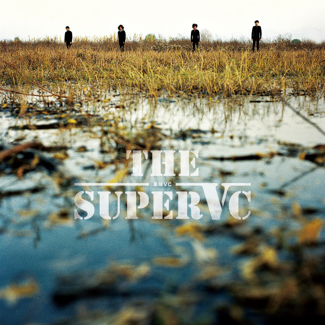 果味VC cover