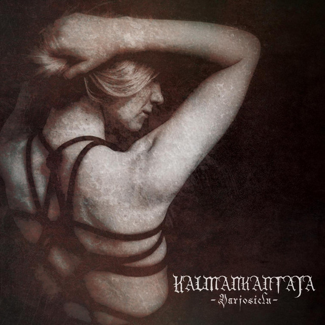 Varjosielu cover art