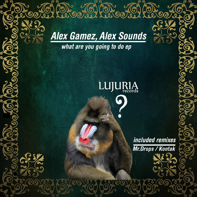 What Are You Going To Do - Mr.Drops Remix cover art