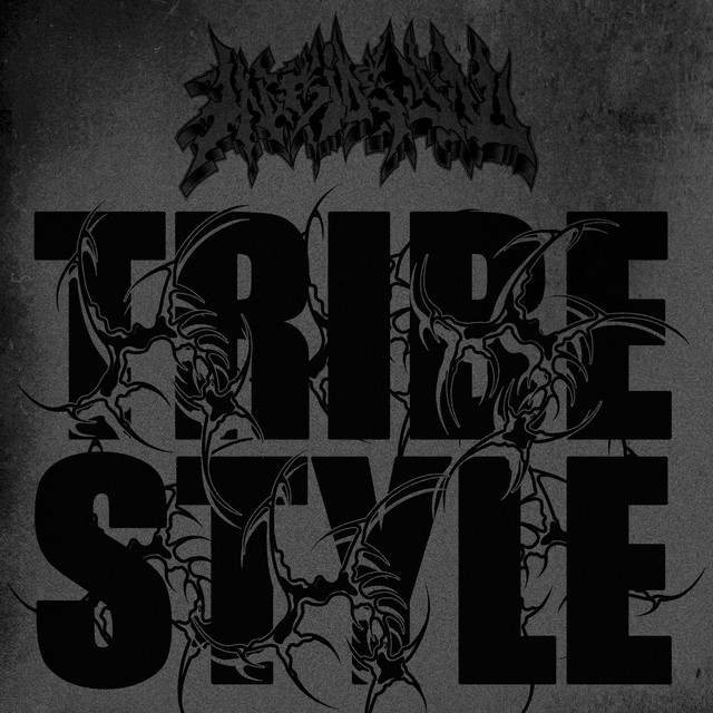 TRIBE STYLE cover art
