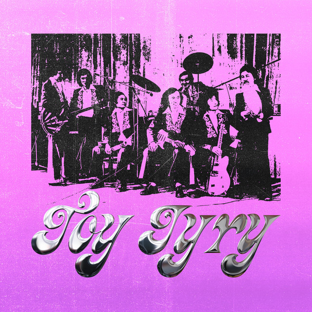 TOY JYRY