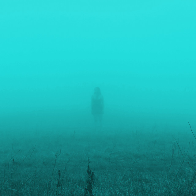 In the Fog cover art