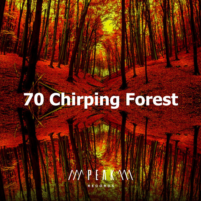 70 Chirping Forest - Album by Nature Sounds | Spotify