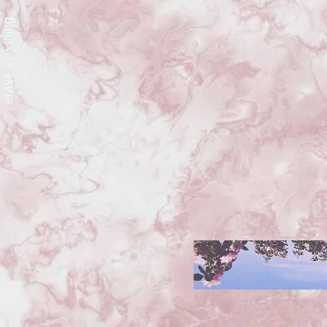 erase evrything cover art