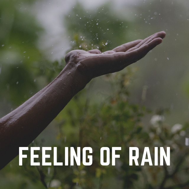 Feeling of Rain - Album by Always Raining | Spotify