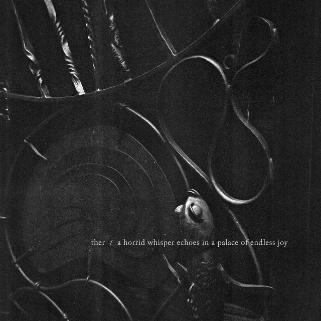 a horrid whisper echoes in a palace of endless joy cover art