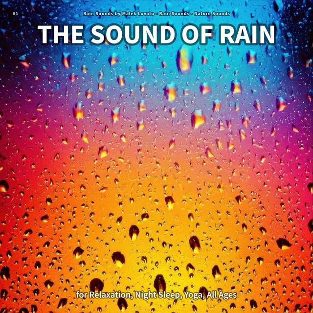 #1 The Sound of Rain for Relaxation, Night Sleep, Yoga, All Ages cover art