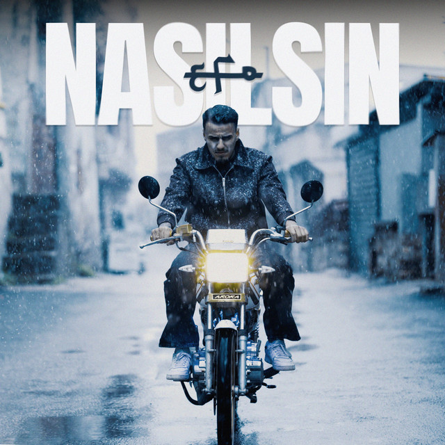 Nasılsın cover art