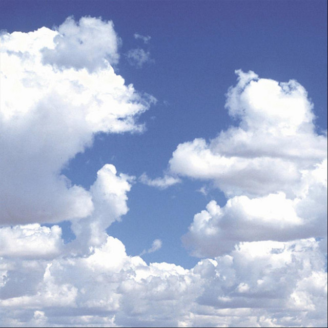 In the Midst of the Storm cover art
