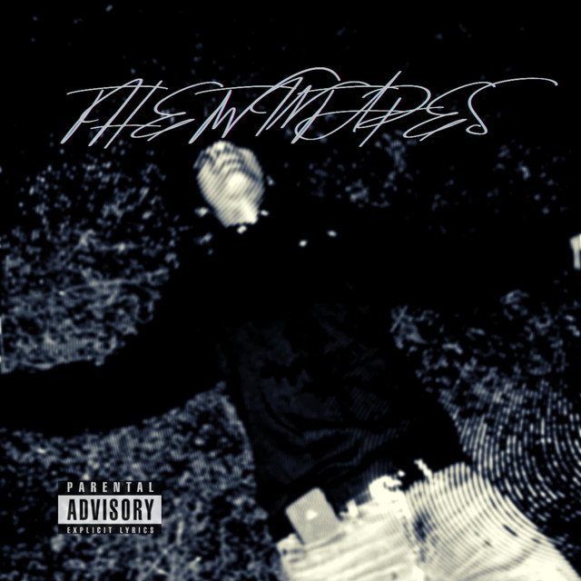 TH3 TWIN TAP3S cover art