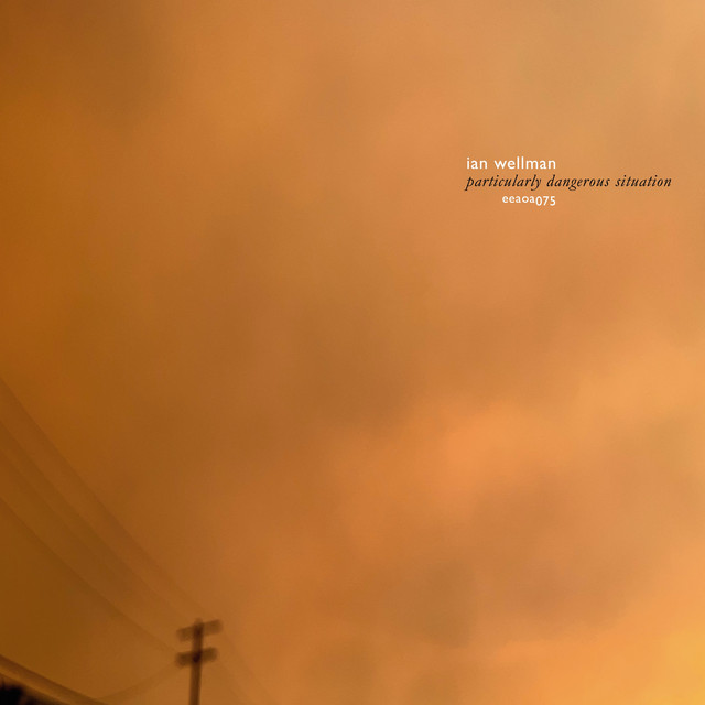 Particularly Dangerous Situation cover art