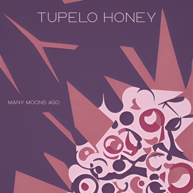 Many Moons Ago cover art