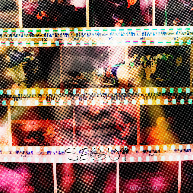 SEGUI cover art