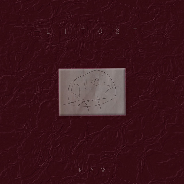 Litost cover art