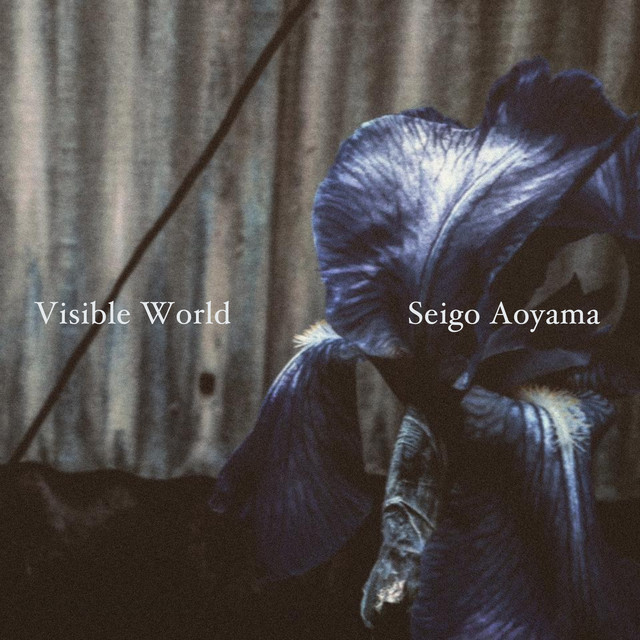 Seigo Aoyama Photo