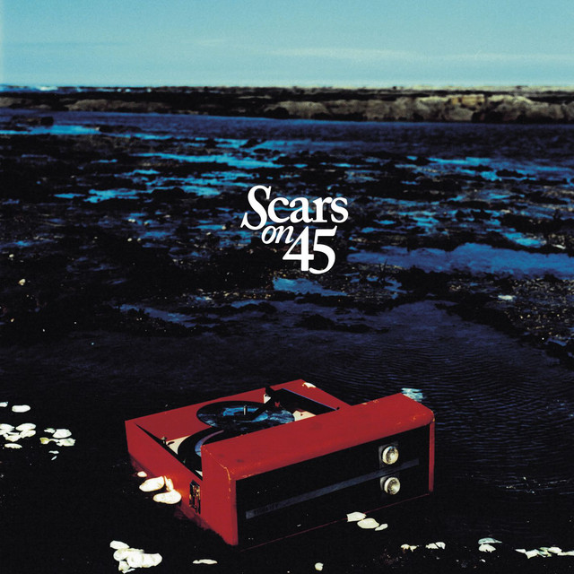 Scars On 45 (Deluxe) cover art