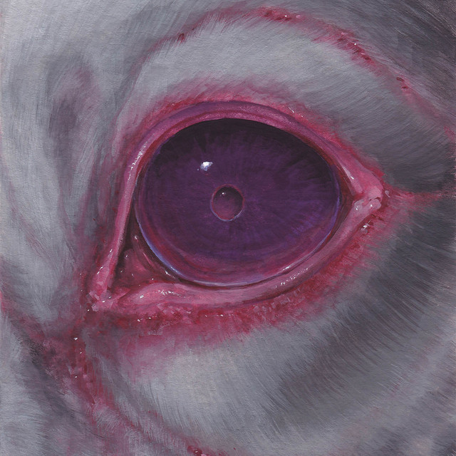 OMNIA OBSCURA cover art