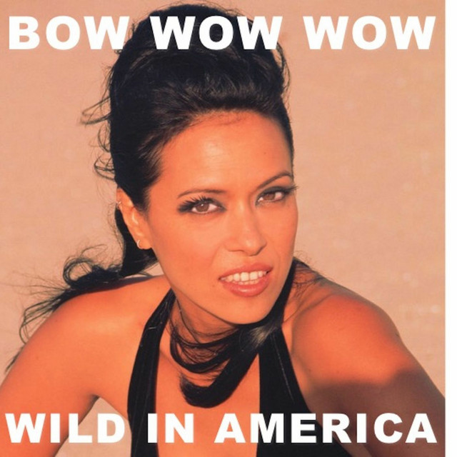 Wild In America (Live) cover art