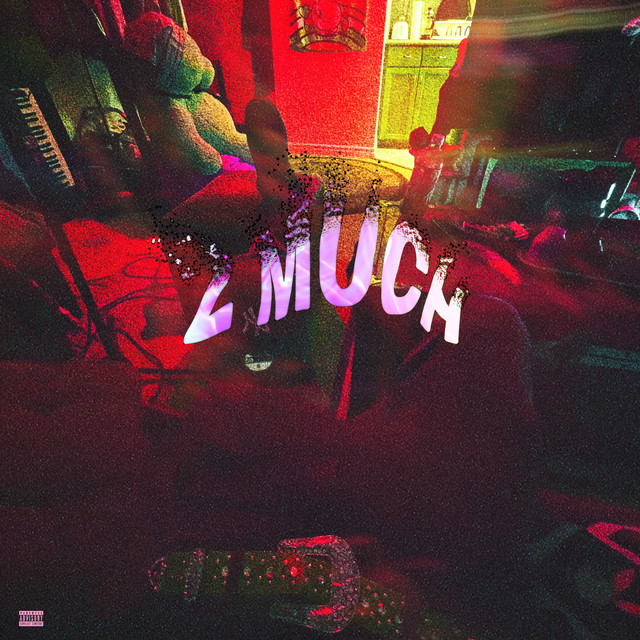 2 Much cover art