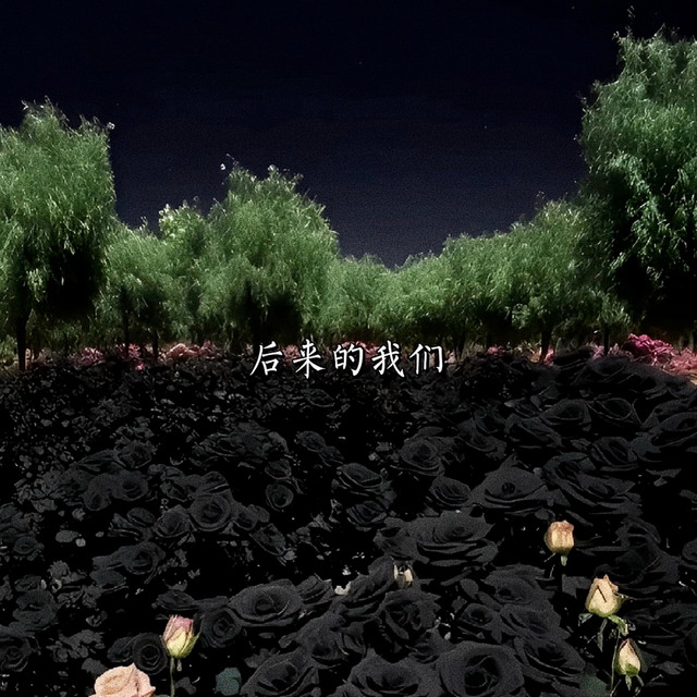 后来的我们