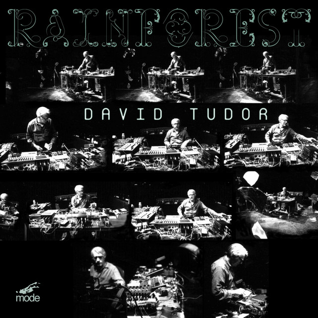 Rainforest cover art