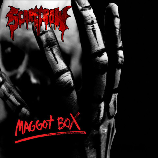 Maggot Box 2000-2015 cover art