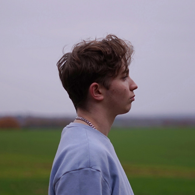 Wildcard (EP) - EP by Harry Dylan King | Spotify