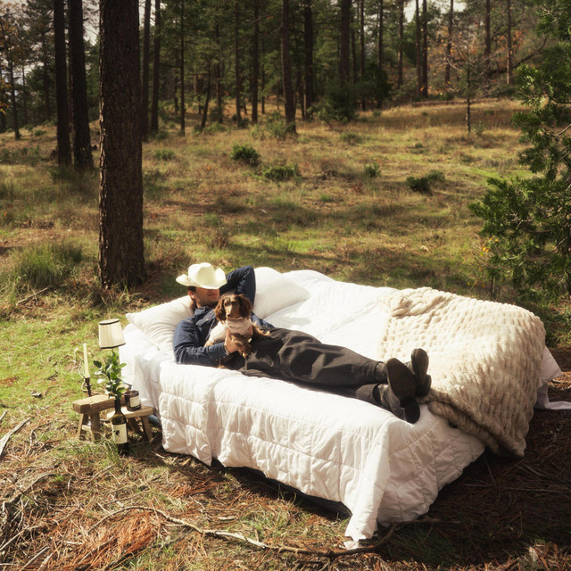 Bed Spread cover art
