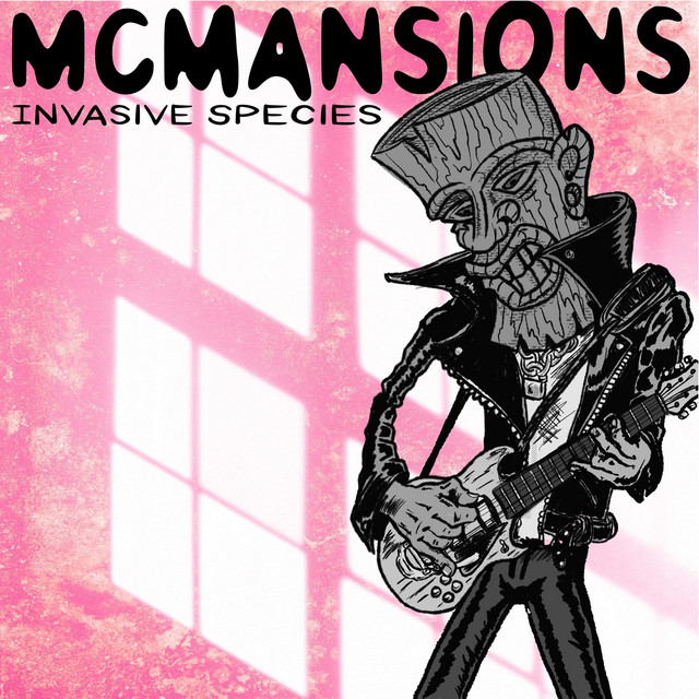 The Mcmansions