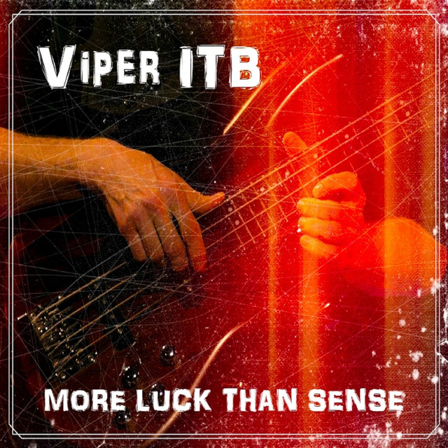 More Luck Than Sense cover art