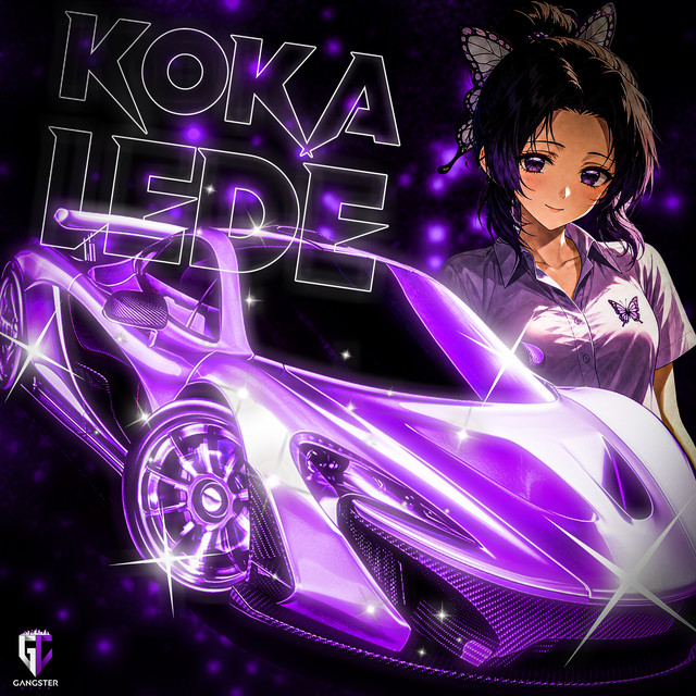 Koka Lede