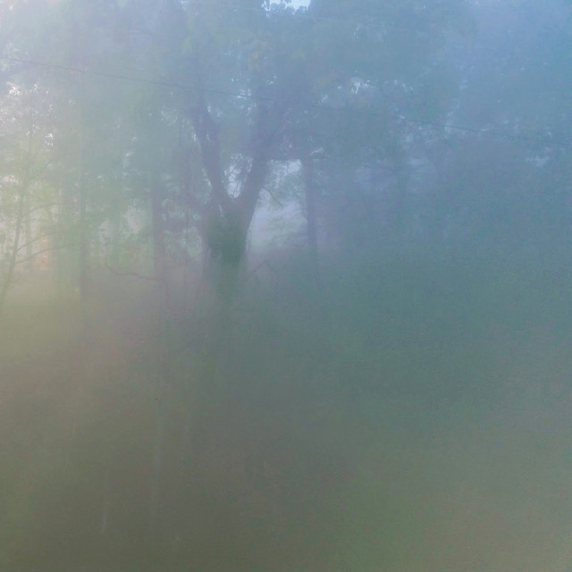 Abyssal Forest (single)