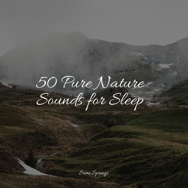 50 Pure Nature Sounds for Sleep - Album by Sounds of Nature White Noise ...