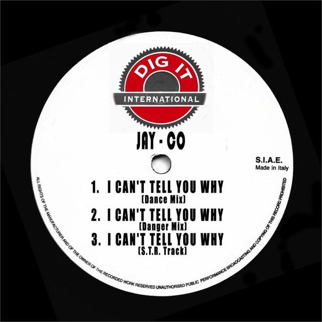 I Can't Tell You Why - Dance Mix cover art