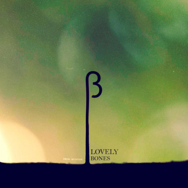 Lovely Bones cover art