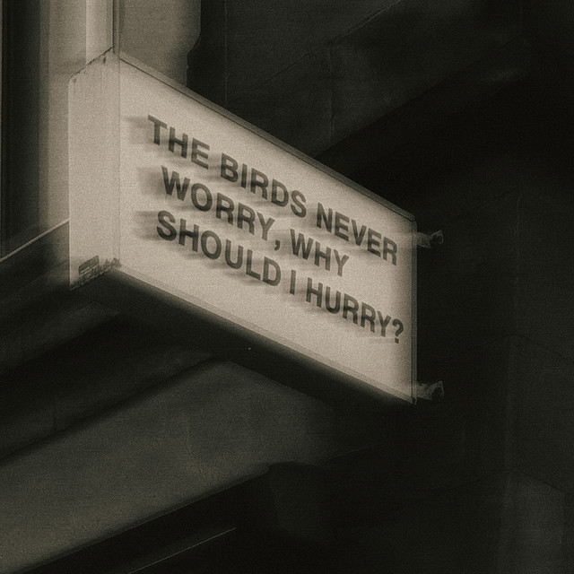 The Birds Never Worry, Why Should I Hurry? cover art