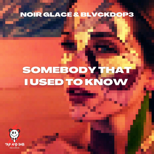 Somebody That I Used To Know - Afro House - Extended Mix