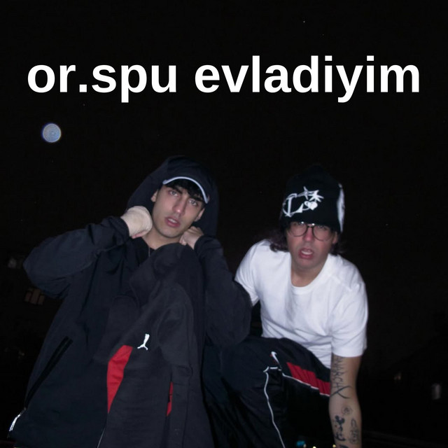 BIPOLAR BEDEN