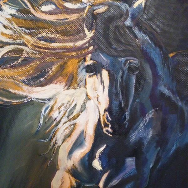 Cuckoo cover art