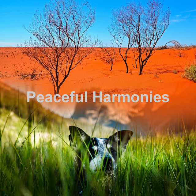 Peaceful Harmonies cover art