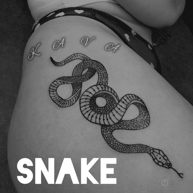 Snake cover art