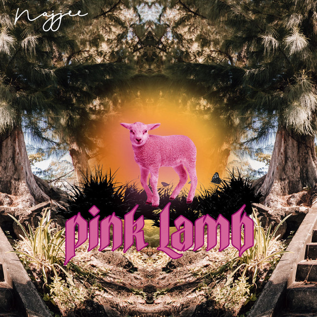 Pink Lamb cover art