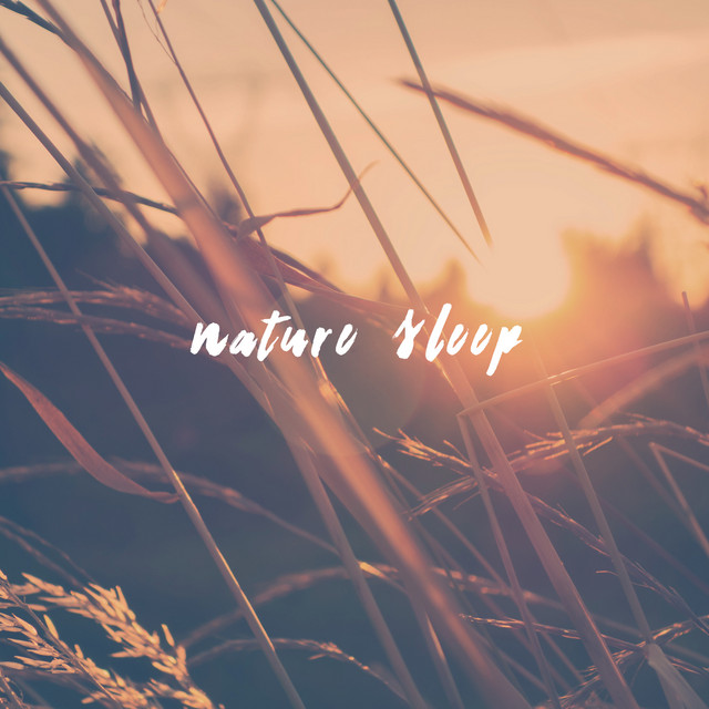 Rain Sleep