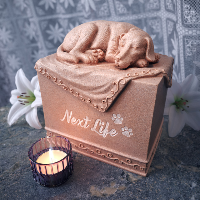 Next Life cover art