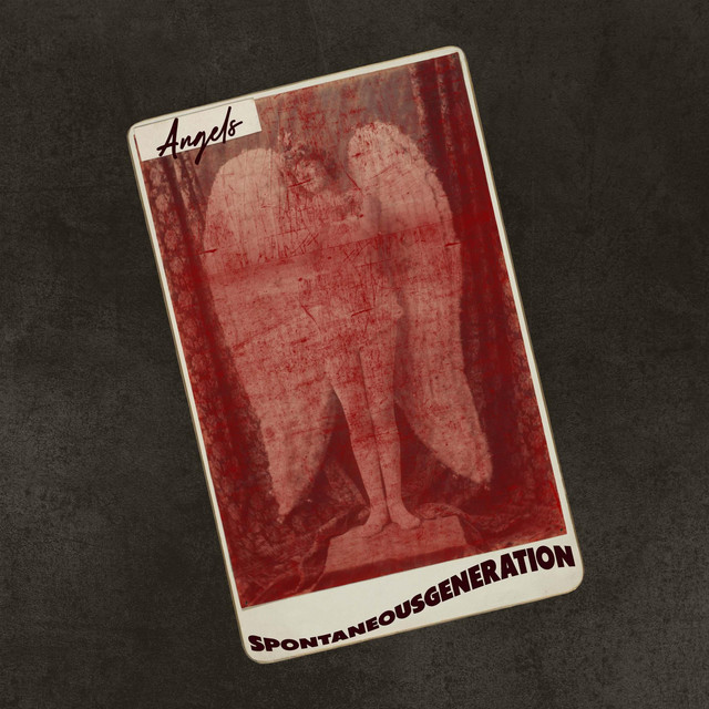 Spontaneous Generation Photo